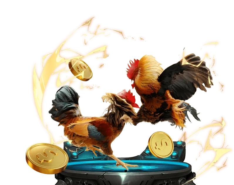 Tổng quan về đá gà trực tuyến tại Sunwin 20